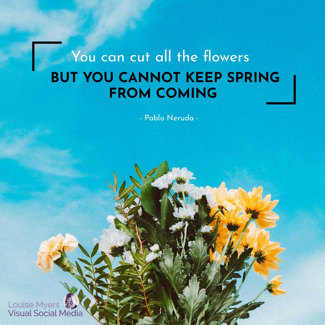 bunch of daisies against sky says you can cut all the flowers but you can't stop spring.
