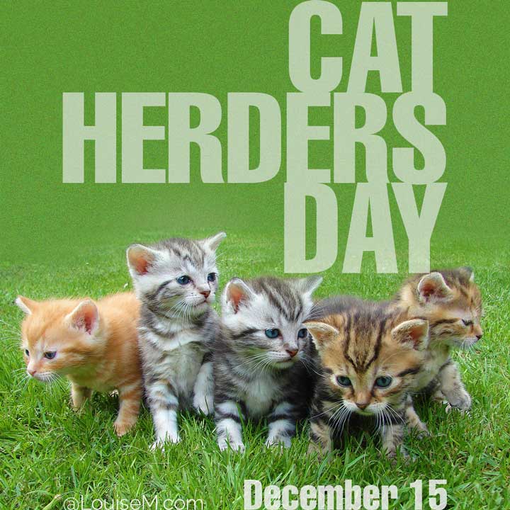 december 15 holiday cat herders day on photo of adorable kittens.