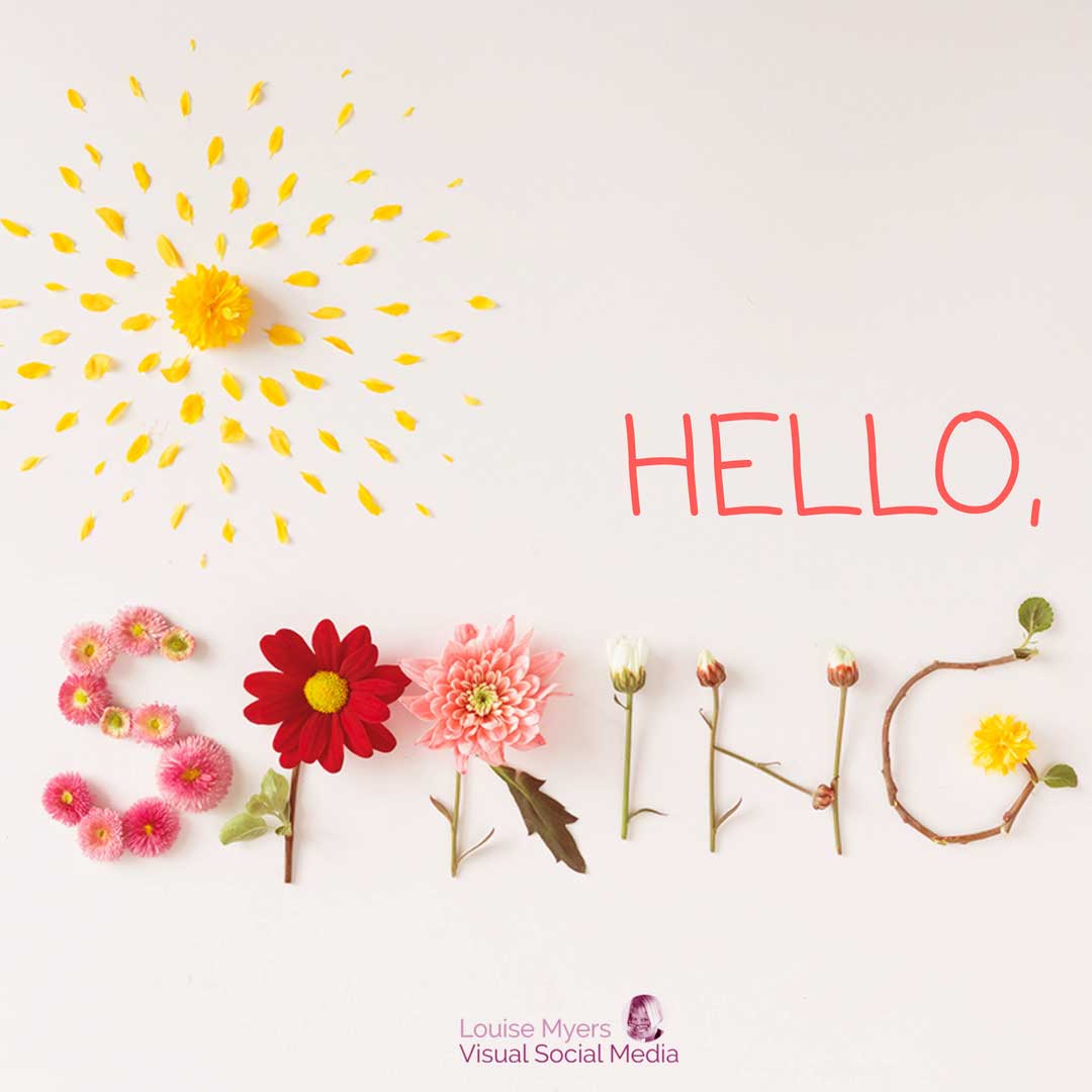 hello spring spelled in flowers with a yellow petal sun.