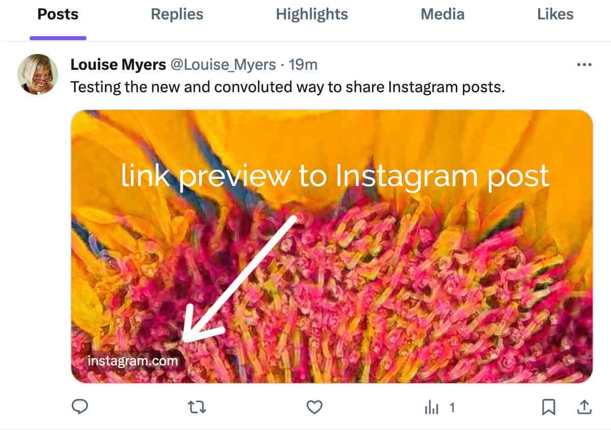 screenshot shows the preview link to your Instagram post on Twitter X.