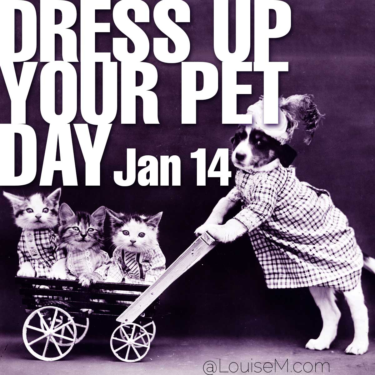 Dress Up Your Pet Day text on photo of pets in costume.
