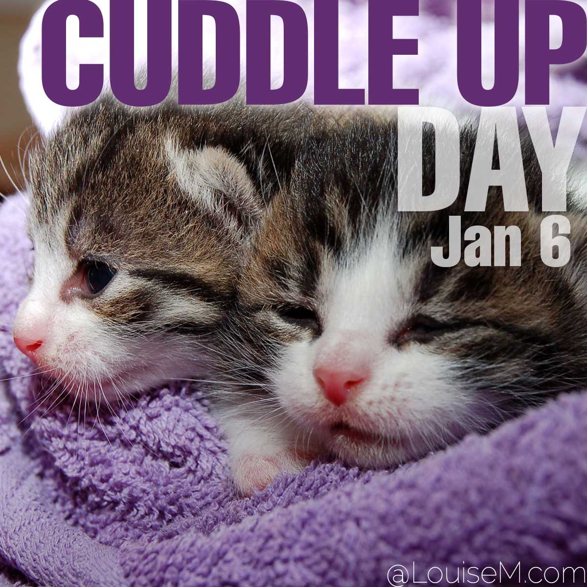 Cuddle Up Day text on photo of two cuddling cats.