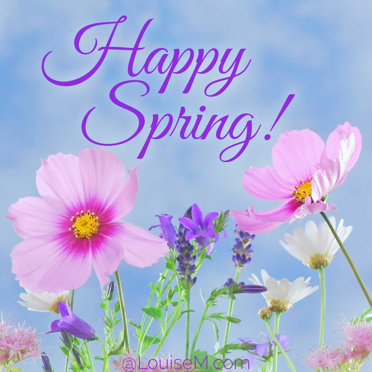 colorful spring flower photo says happy spring.