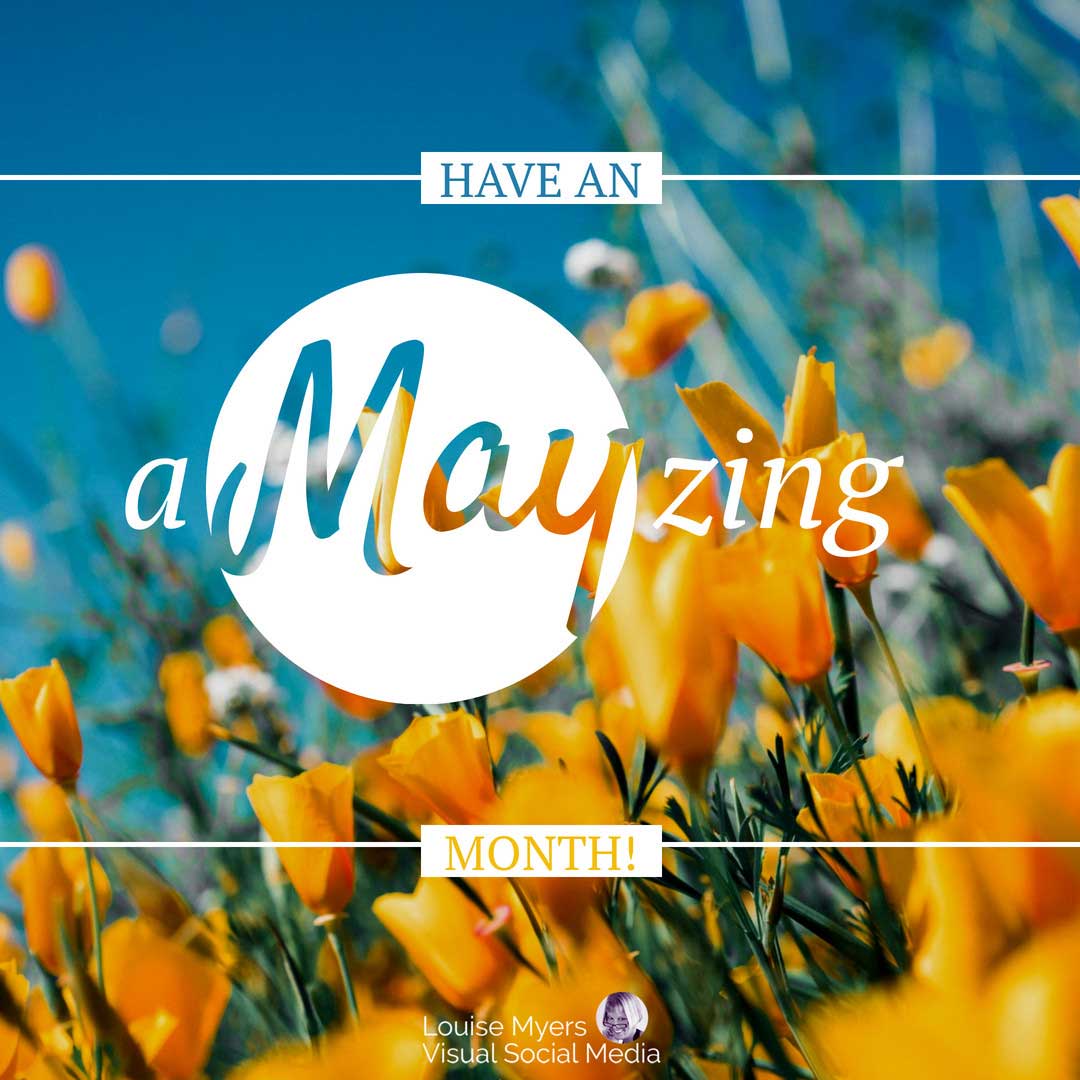 yellow poppies on blue sky says have an amayzing month.