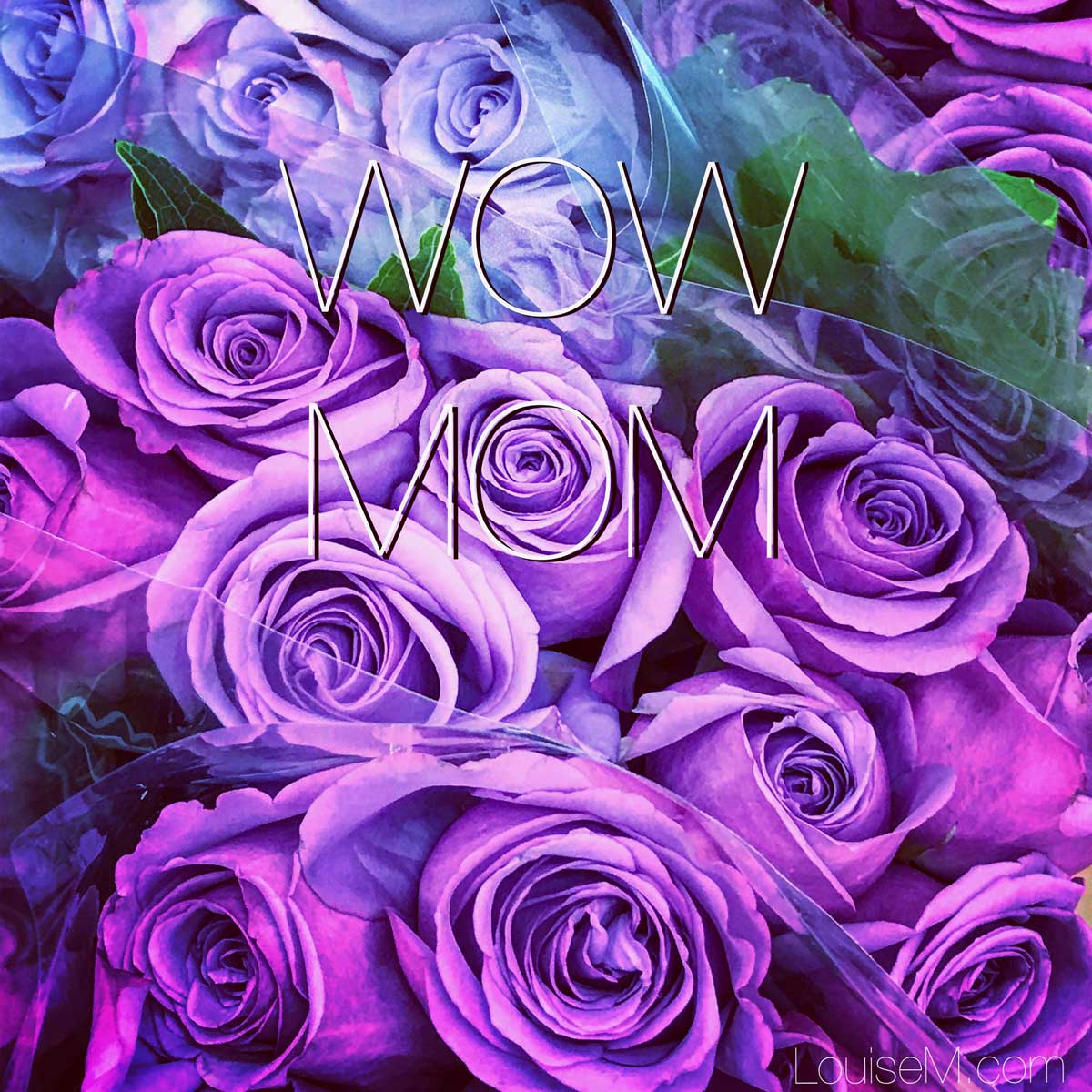 purple roses with thin letters spelling wow mom.