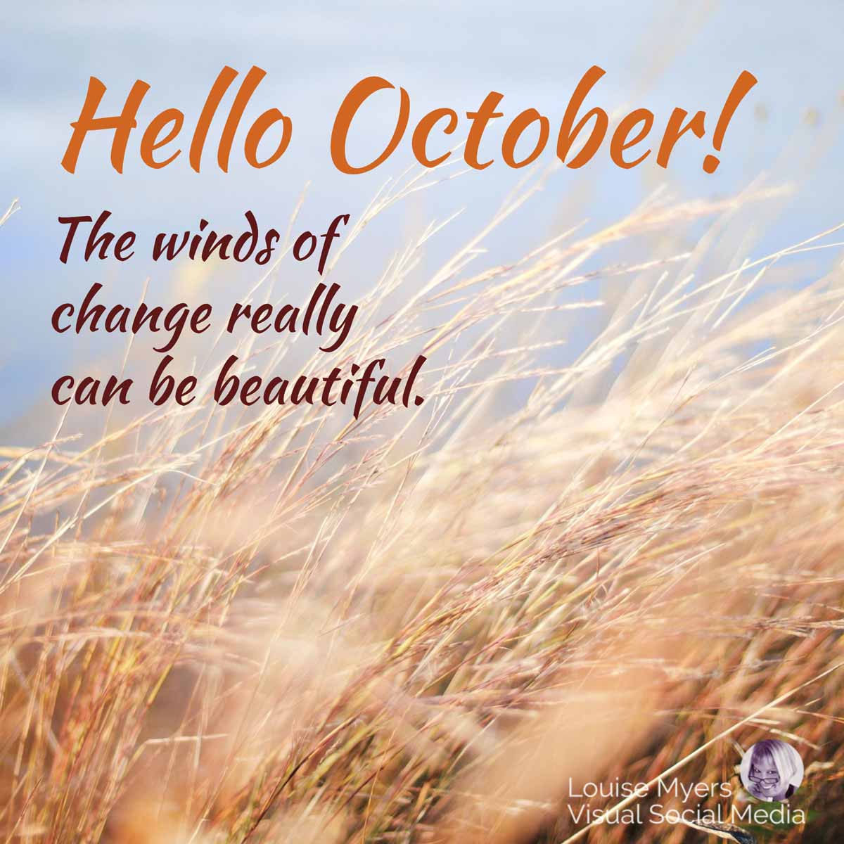 dried wheat blowing in field has quotes, Hello October, The winds of change really can be beautiful.