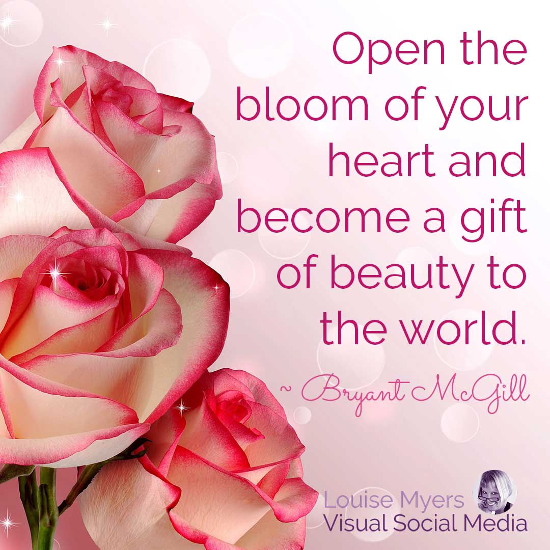 three roses on pink background with quote, Open the bloom of your heart and become a gift of beauty to the world.