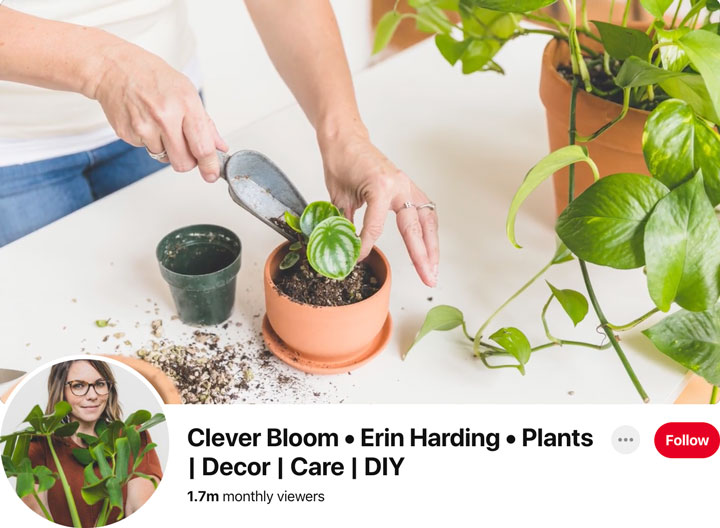 Pinterest profile cover eaxmple