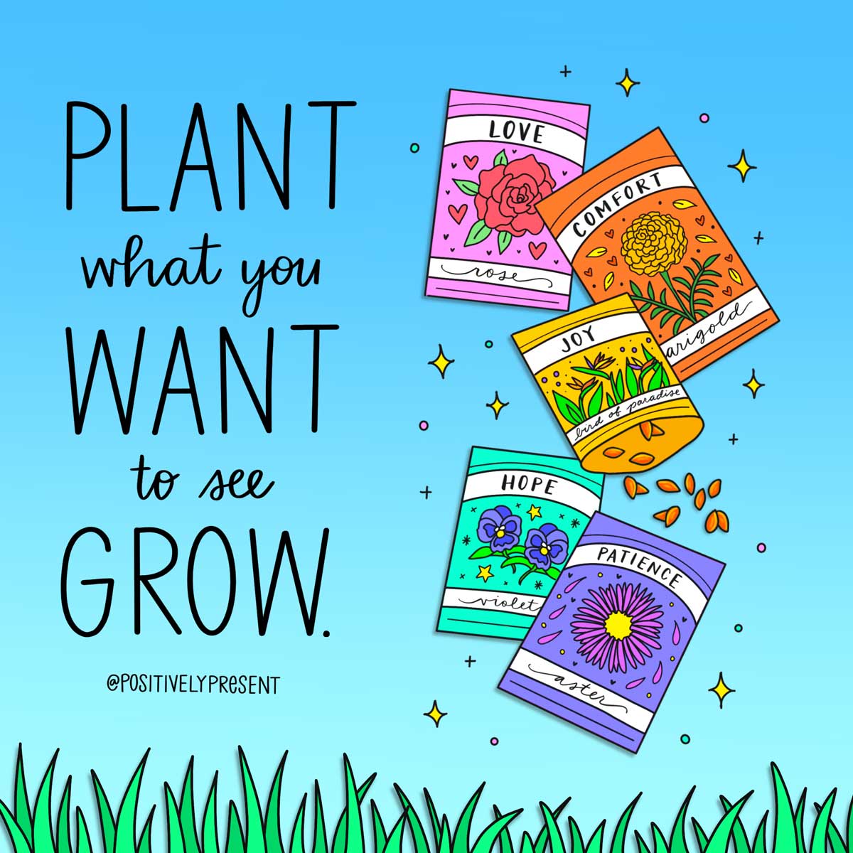 drawing seed packets on blue sky with quote, plant what you want to see grow.