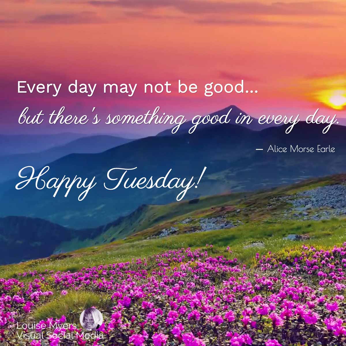 flowers, mountains and sunset photo has quote, Every day may not be good, but there's something good in every day. Happy Tuesday!