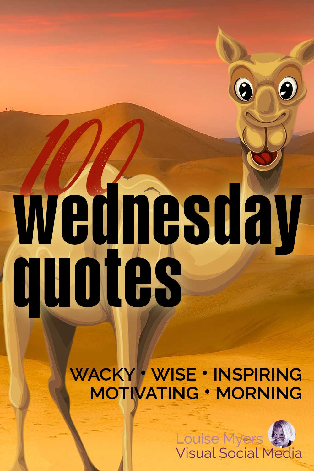funny cartoon camel with words, wednesday quotes, wacky wise inspiring motivating morning.